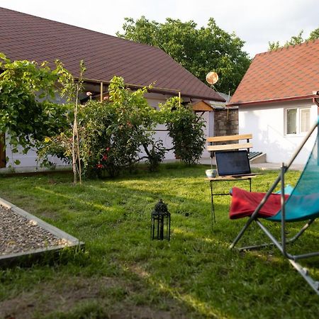 Nomad Sud Studios In Town Center Cahul Kültér fotó